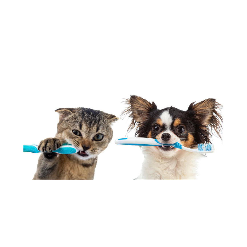 Higiene bucal y dental